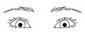 woman eyes, double eyelids, Almond eyes, sanpaku ,outline illustration